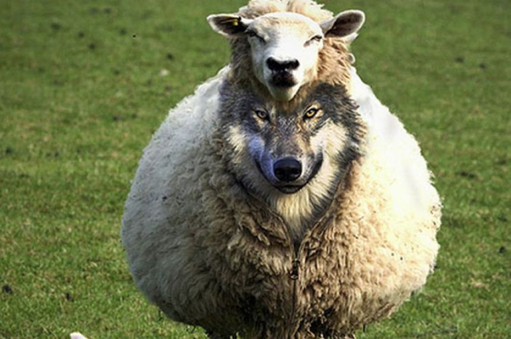 Ниқобланиш санъати