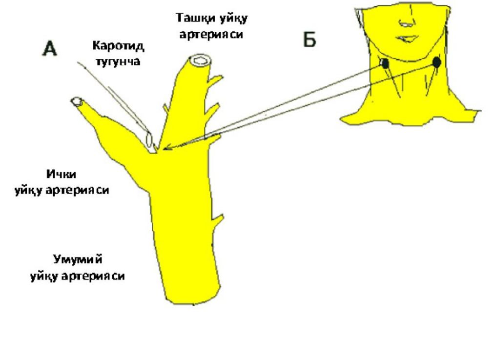 Қоннинг икки қўриқчиси