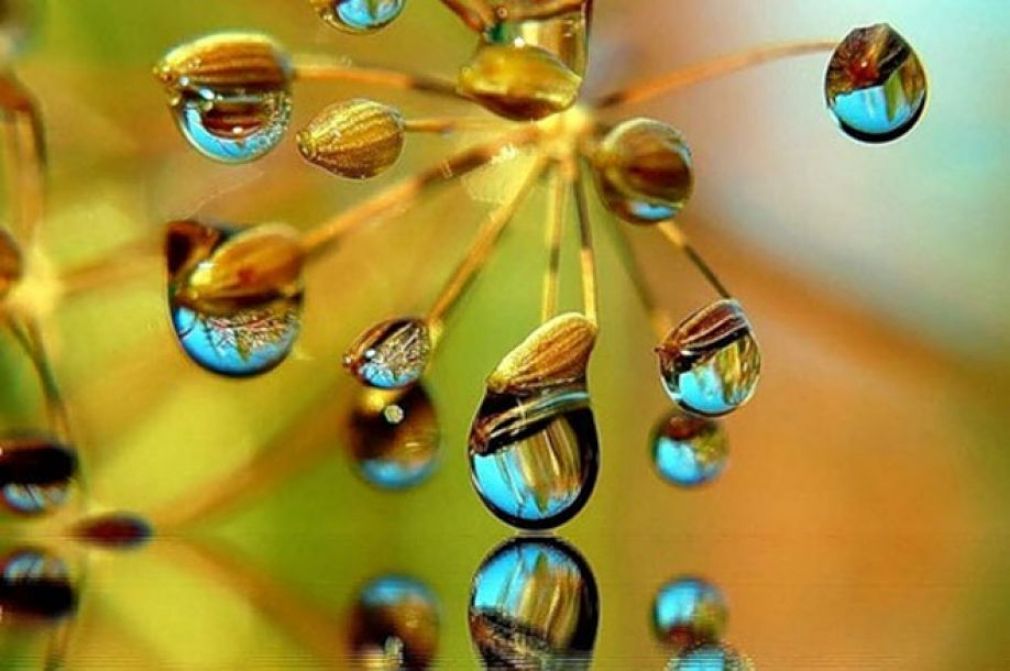 Сув - ҳаётнинг асоси саналувчи субстанция