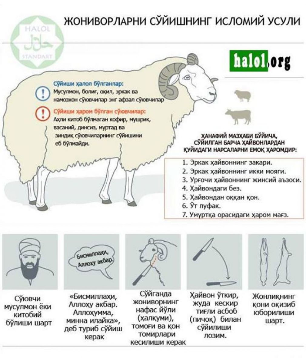 Жониворларни сўйишнинг исломий усули