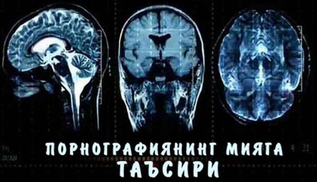 Порнографиянинг мияга таъсири