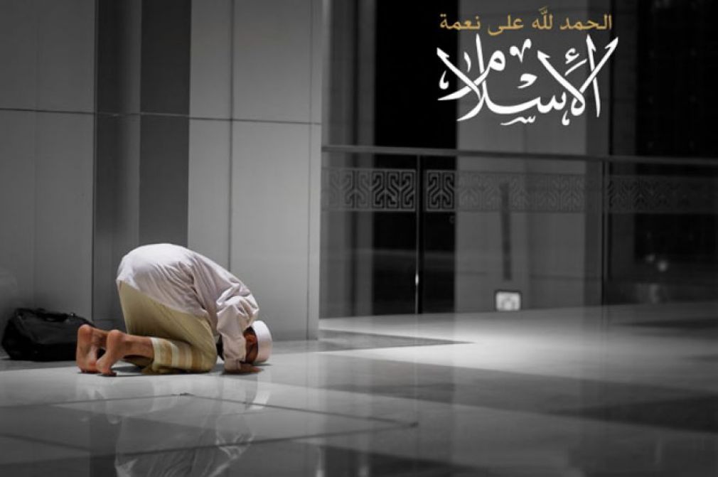 Бундайин адолатнинг ўхшаши борми?