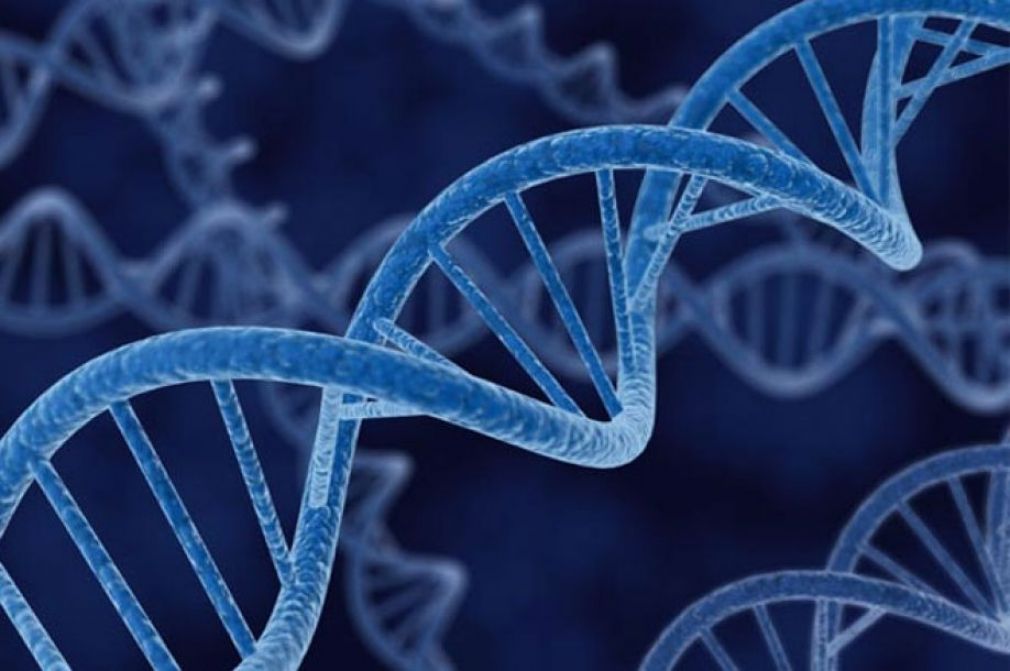 Олимлар инсон тупроқдан эканини исботлашди